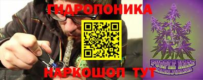шишки Мариинск